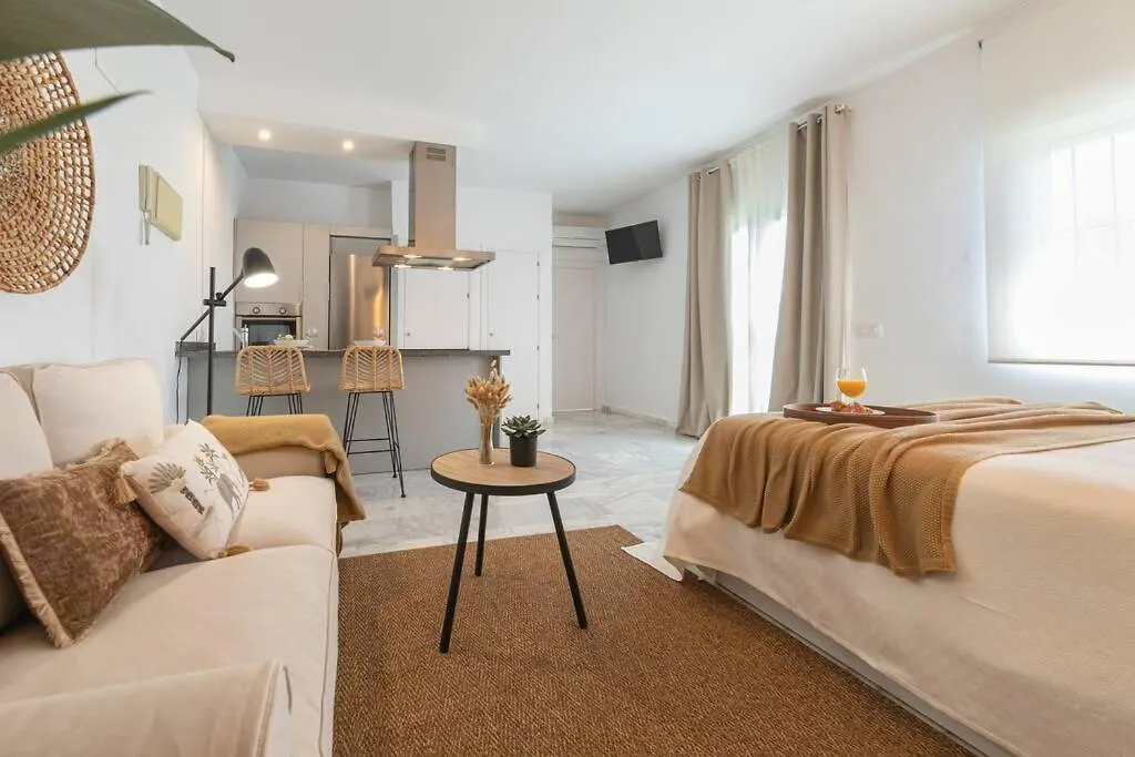 Avanti Alameda Sky Terrace, Disfrutalo Seville Apartment